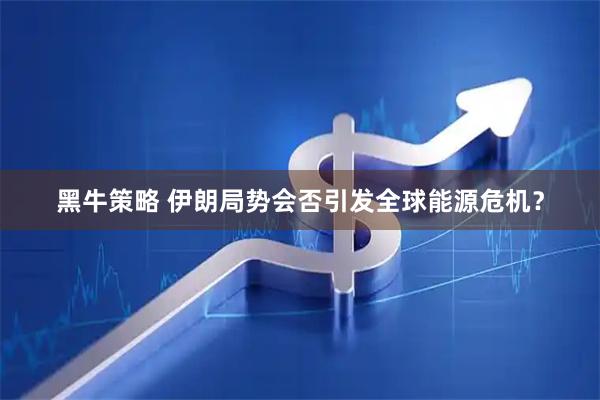 黑牛策略 伊朗局势会否引发全球能源危机？