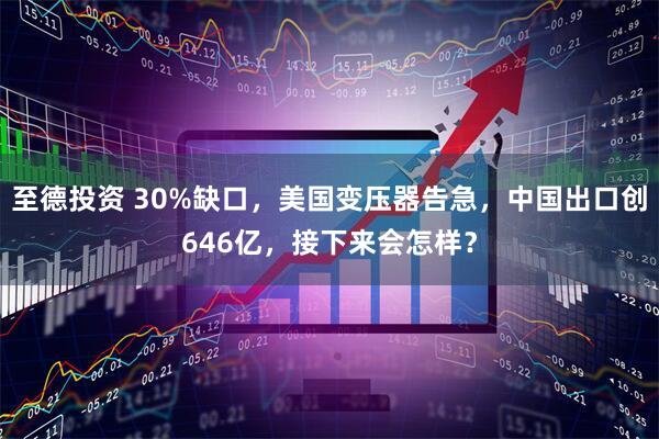 至德投资 30%缺口，美国变压器告急，中国出口创646亿，接下来会怎样？