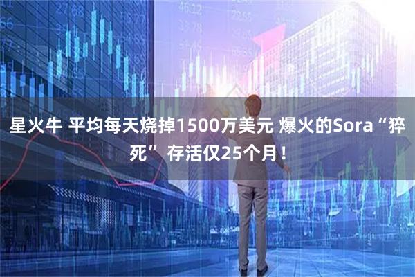 星火牛 平均每天烧掉1500万美元 爆火的Sora“猝死” 存活仅25个月！