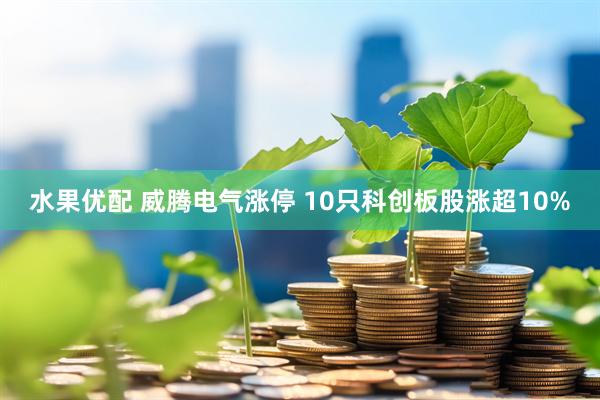 水果优配 威腾电气涨停 10只科创板股涨超10%