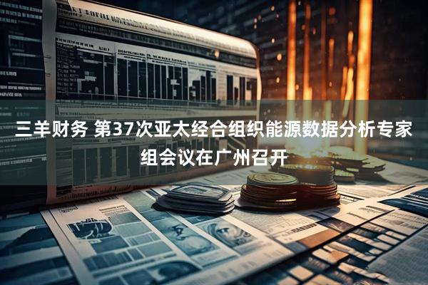 三羊财务 第37次亚太经合组织能源数据分析专家组会议在广州召开