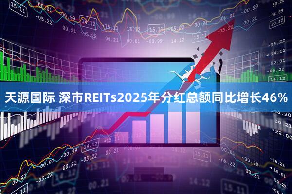 天源国际 深市REITs2025年分红总额同比增长46%