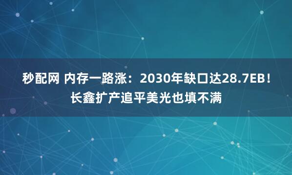 秒配网 内存一路涨：2030年缺口达28.7EB！长鑫扩产追平美光也填不满