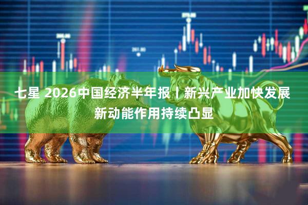 七星 2026中国经济半年报丨新兴产业加快发展 新动能作用持续凸显