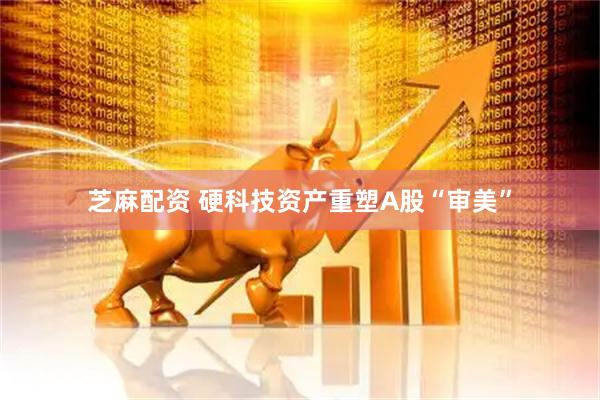 芝麻配资 硬科技资产重塑A股“审美”