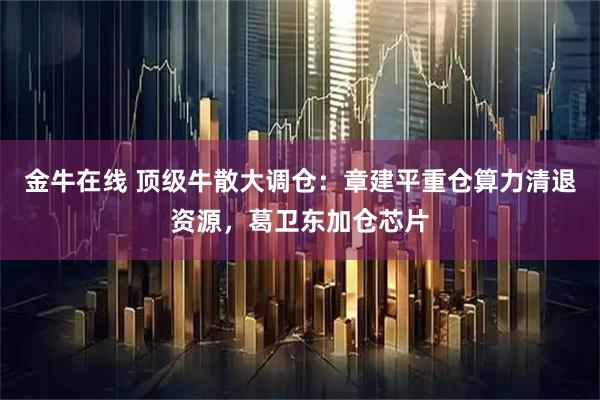 金牛在线 顶级牛散大调仓：章建平重仓算力清退资源，葛卫东加仓芯片
